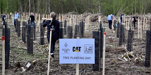 Immagine principale di Tree Planting Event - Almighty Tree - One Tree Planted - Caterpillar 