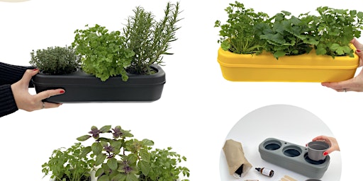 Atelier de jardinage urbain : viens planter ton potager urbain ! primary image