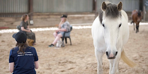 Imagem principal do evento Horsesense Networking