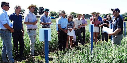 Hauptbild für South (Sutton Scotney) Open Day - 18 June 24