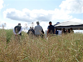 Croft Arable Event (North) - 2 July 24 primary image