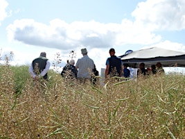 Croft Arable Event (North) - 2 July 24 primary image