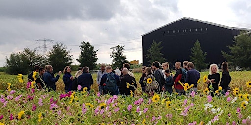 Hauptbild für Regenerative Farm Tour (ENGLISH)