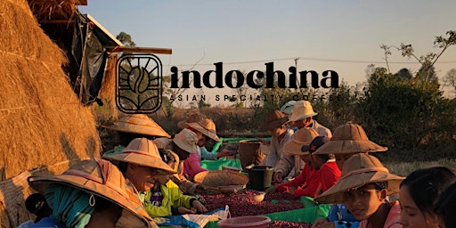 Image principale de Asian Specialty Cupping With Indochina Coffee