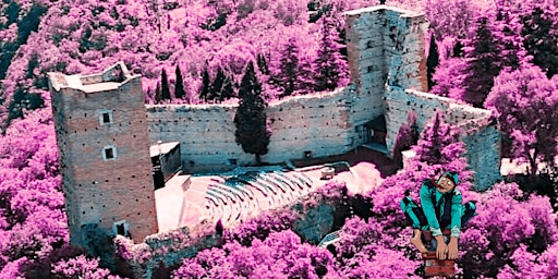 Immagine principale di Nespolo Giullare a "La Faida" - Montecchio Maggiore 
