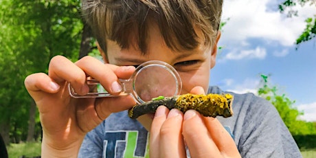 Hauptbild für Nature Club - Minibeast Hunt