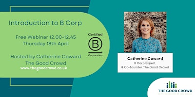 Online Webinar- Introduction to B Corp primary image