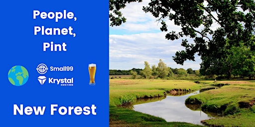 Hauptbild für New Forest - People, Planet, Pint: Sustainability Meetup