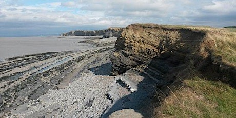 Quantock Coast Wildlife Walk with Nigel Phillips