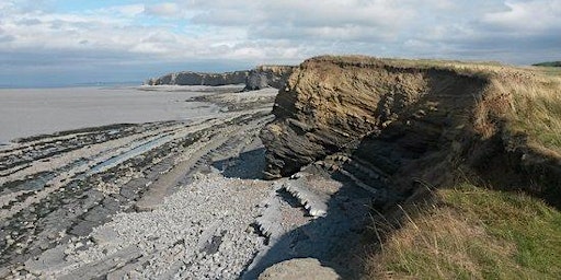 Primaire afbeelding van Quantock Coast Wildlife Walk with Nigel Phillips