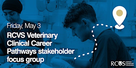 RCVS Veterinary Clinical Career Pathways stakeholder focus group