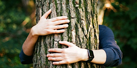 Tree Time for Beltane