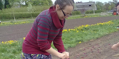 £44 Veg and fruit growing for beginners