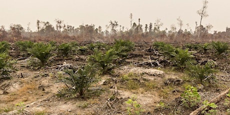 Climate justice,land rights & trade:The EU-Indonesia palm oil dispute