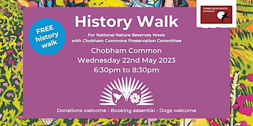 Primaire afbeelding van Evening history walk at Chobham Common