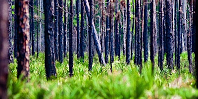 Immagine principale di FIELD TRIP: Sunset Ranch Trail at Three Lakes Wildlife Management Area 