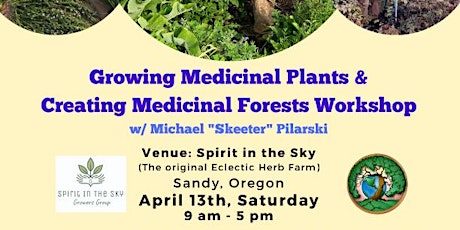 Growing Medicinal Plants & Creating Medicinal Forests Workshop