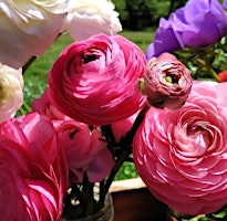 Primaire afbeelding van Close to Home: Bouquet Making with North Fork Flower Farm