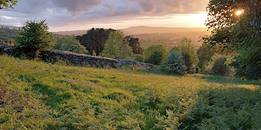 Hauptbild für County Carlow Heritage Seminar 2024