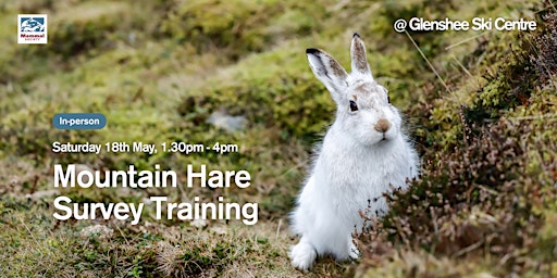 Imagem principal do evento Mountain Hare Survey (in-person) Training
