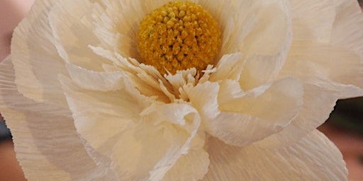 Image principale de Krepppapier Blumen Workshop