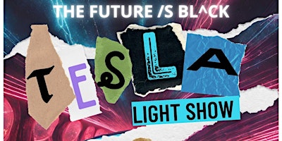 Primaire afbeelding van The Future is Black:  Tesla Light Show
