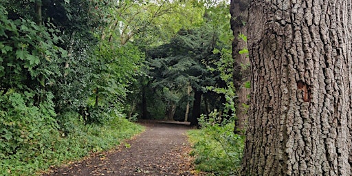 Imagem principal do evento LGBTQ+ Nature Connection Series: Nature Walk & Campfire Snacks, Midlothian