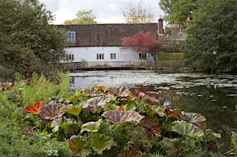 Informal Concert by Dorset Rural Music School