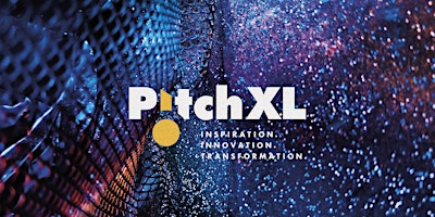 Primaire afbeelding van PitchXL Semi-Final 1: The Fintech Revolution