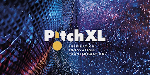 Hauptbild für PitchXL Semi-Final 1: The Fintech Revolution