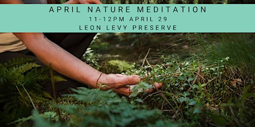 Primaire afbeelding van April Nature Meditation