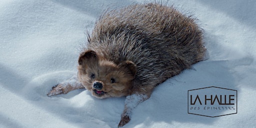 Hauptbild für Philo à l'écran des enfants ♥  En attendant la neige