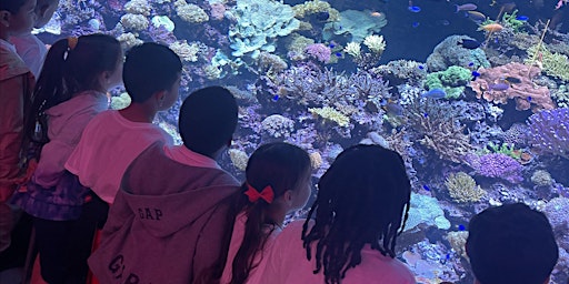 Sponsor Kindergarten SeaWorld Trip