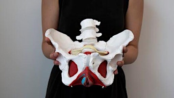 Pelvic Floor Workshop with Summit Physical Therapy primary image