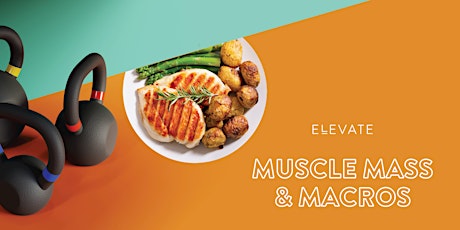 Muscle Mass and Macros Clinic