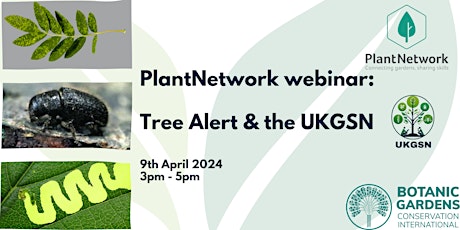 PlantNetwork webinar: Tree Alert & the UKGSN