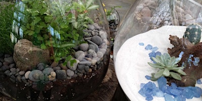 Imagem principal do evento The Tiny Ecology: Terrariums for Beginners