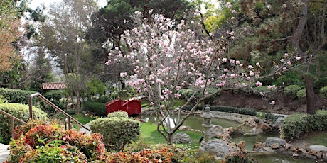 Bonsai Making Class at The Langham Huntington, Pasadena