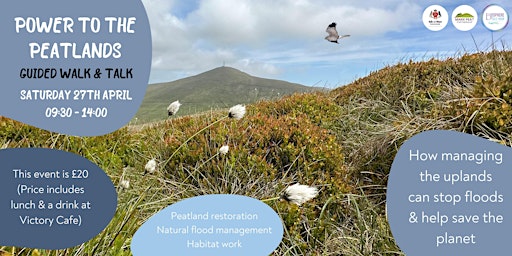 Power to the Peatlands - Guided walk and talk primary image