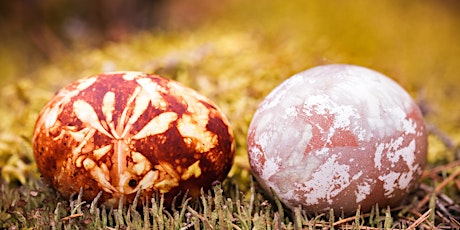 Make and paint a bird egg at Turlin Moor Recreation Ground