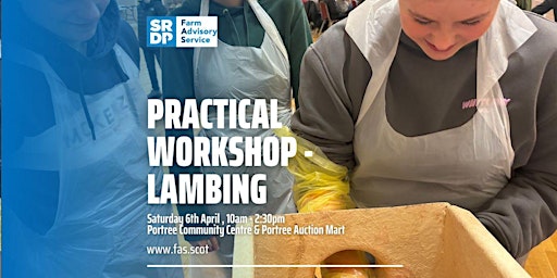 Hauptbild für Practical workshop - Lambing