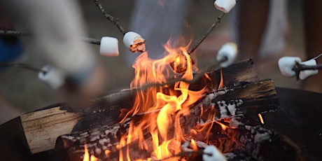 Summer Solstice Swim & S'mores