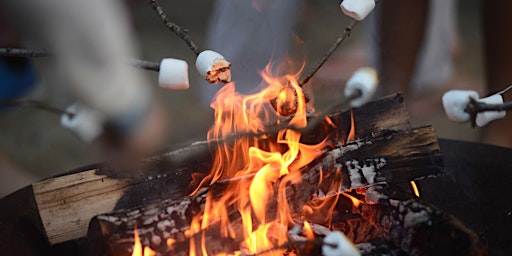 Hauptbild für Summer Solstice Swim & S'mores