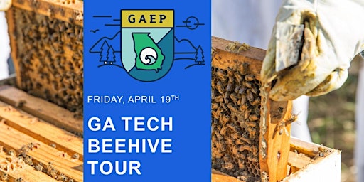 Primaire afbeelding van GA Tech "Fun Friday" Beehive Tour