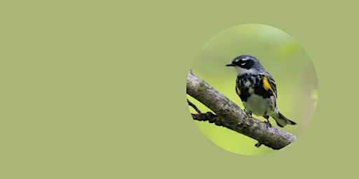 Primaire afbeelding van Peak of Spring Migration Bird Walk