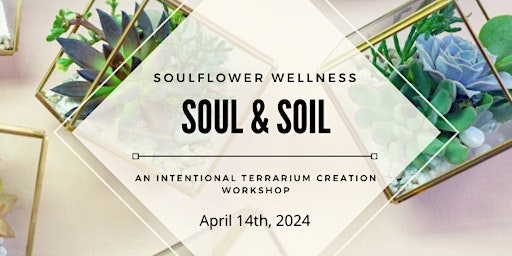 Immagine principale di Soul & Soil : An Intentional Terrarium Creation Workshop 