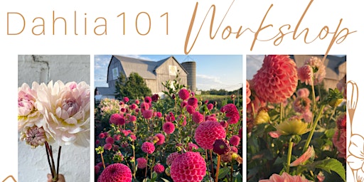 Image principale de DAHLIA 101 WORKSHOP - $65 per person