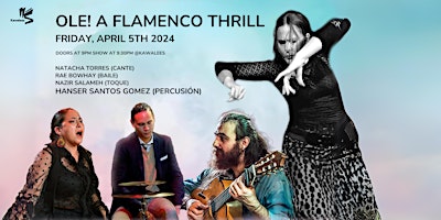 Imagem principal do evento Olé! A Flamenco Thrill