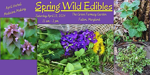 Primaire afbeelding van April Herbal Medicine Making: Spring Wild Edibles