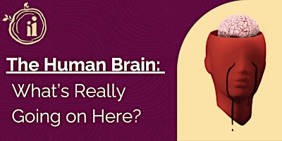 Imagen principal de The Human Brain: What’s Really Going on Here?